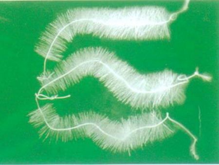 點(diǎn)擊查看詳細(xì)信息<br>標(biāo)題：TL型立體彈性填料 閱讀次數(shù)：6539